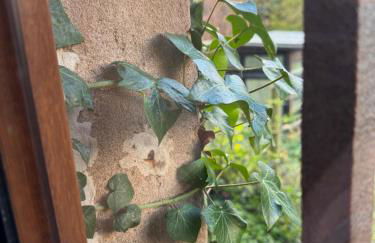 Ferienwohnung Burg Hausen - Foto 25