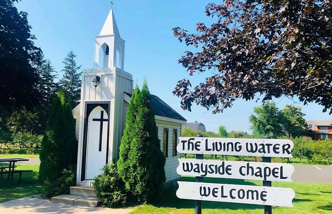 Food & Wine Tour + Niagara-on-the-Lake Day Trip - Foto 3