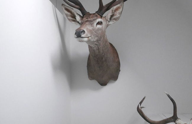 Laggan Cottage - Charming Home Along River Gairn - Photo 8