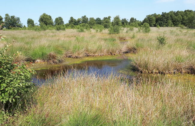 Apartments Fröhling - Foto 52