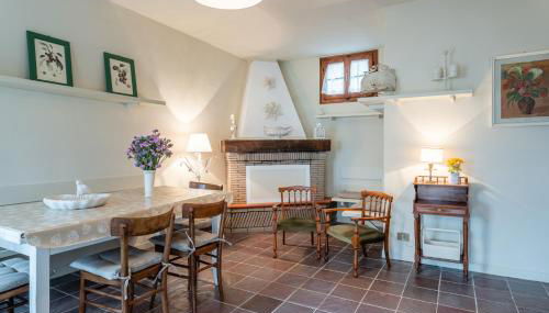 Sassi Scritti - Abete Bianco - Foto 2