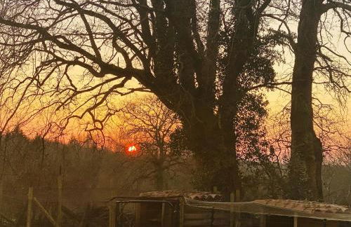 Villa spacieuse à Prailles-La Couarde avec piscine privée 100 m² ! - Foto 24