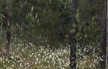 Die Schorenmoos-Lodge - Foto 35