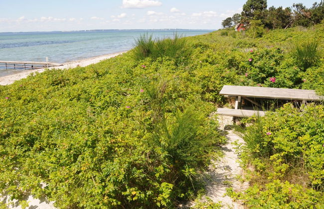 "Kalv" - 75m from the sea - Foto 10