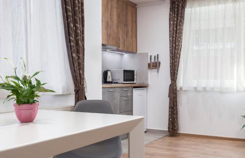 OLIVA 4 STARS - Photo 32