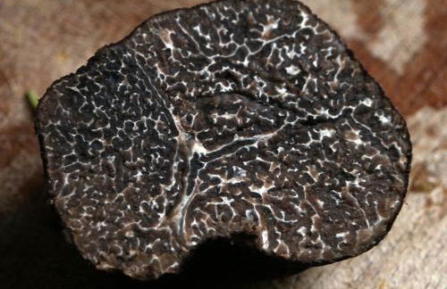 La Vayssade - Grand Gîte de charme - 14 pers - Piscine & Jacuzzi - Photo 47