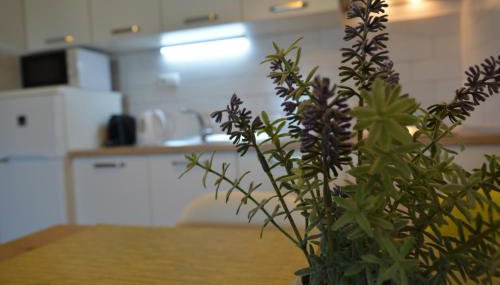 Sunny Day apartments - Foto 4