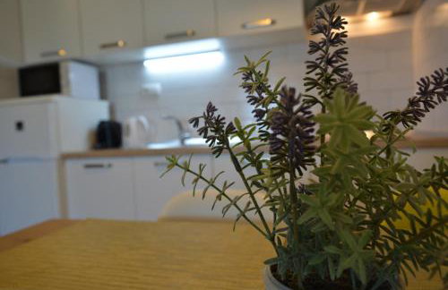 Sunny Day apartments - Foto 4