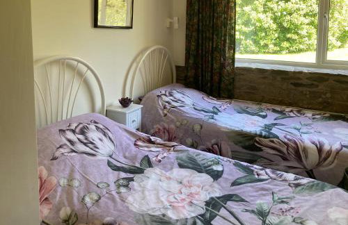 Steep Holm - Foto 15