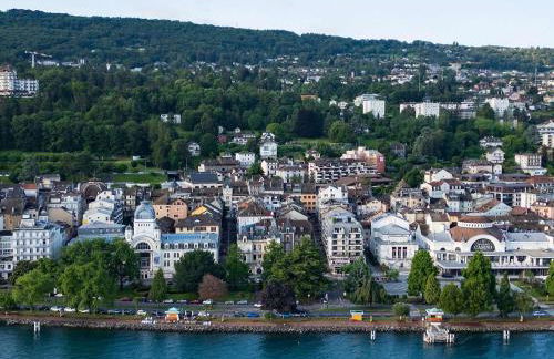 Bel appartement avec animaux admis à Évian - FR-1-498-124 - Foto 10