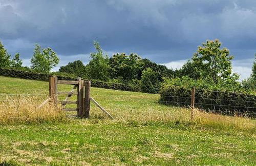 The Meadow - Foto 21