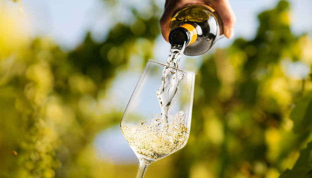 Degustaremos deliciosos vinos locales