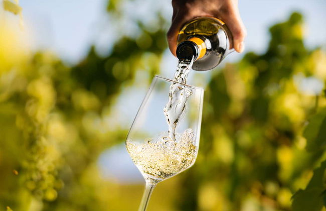 Excursión a las bodegas de Murrumbateman - Foto 4