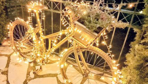 G&J Traditional House - Foto 4