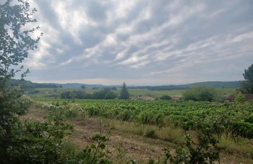Appartement T1 climatisé en campagne - Foto 29