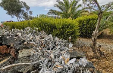 Dammusi Sciuvechi - Foto 31