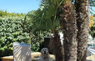 Villa DUXCAAR Avel Mor - Photo 24