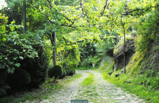 MyStay - Casa do Carmo - Foto 30