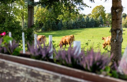 Dylewianka - Foto 60