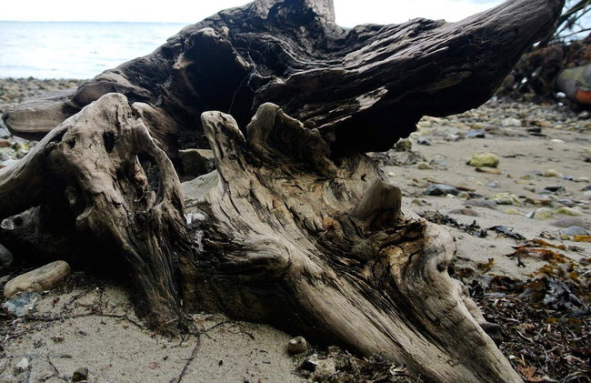 Luxury Retreat in Hejlsminde - By Traum - Foto 28