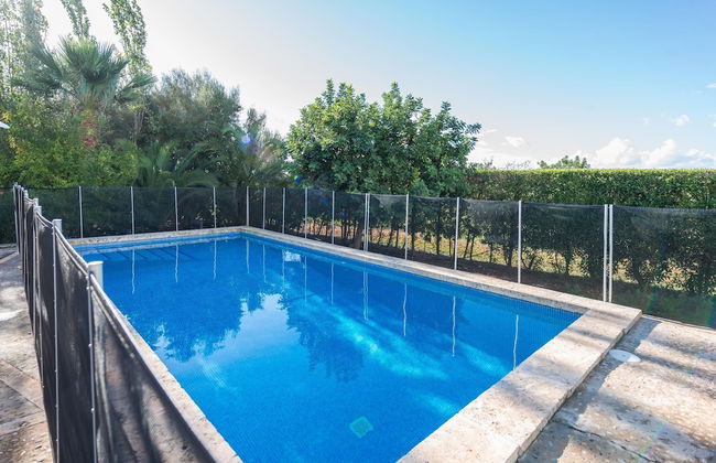 Vista Alegre in Manacor - Photo 4