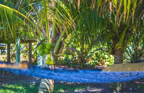 Tranquility Seahorse Suite - Oceanfront Paradise! - Foto 12