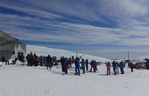 "The plane trees" - Foto 54