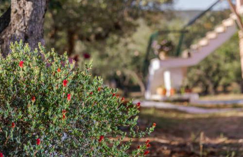 Villa Nena - Foto 31