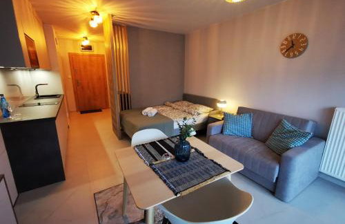 Apolonia apartament II- SPA - Foto 12