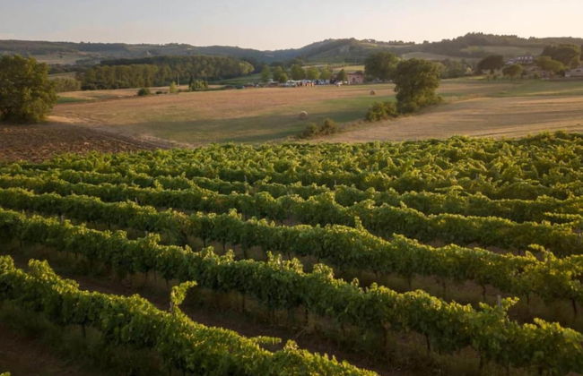 Apartment With Swimming Pool in Marsciano - Foto 39