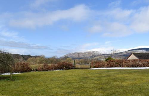 White Wisp - Photo 1