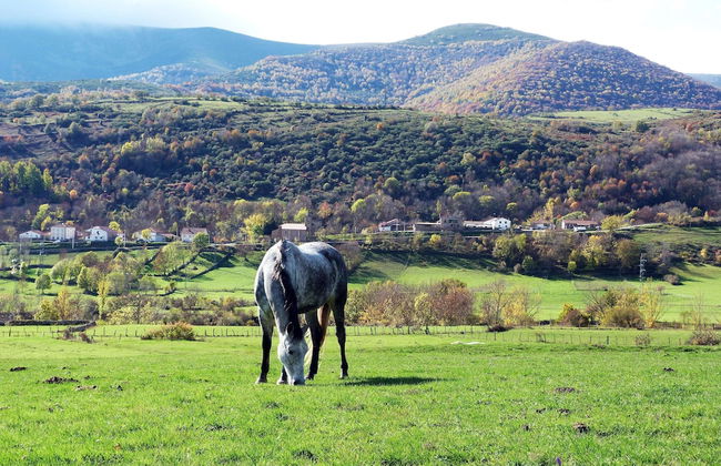 El Balcon de La Lomba - Casa - Foto 75