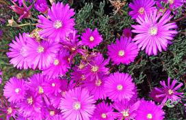 La piazzetta di Gra e Baldo - Foto 21