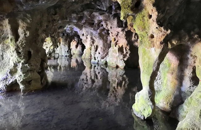 Sintra Highlights & Scenic Coast – Tour privado desde Lisboa - Foto 32