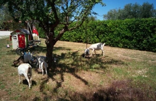 Casale Torre San Magno - Foto 65