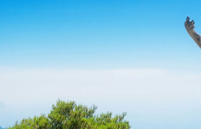 Excursión a Capri - Foto 1