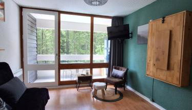 Studio 4p Chaleureux aux pieds des pistes & vue Pelvoux II - Foto 3