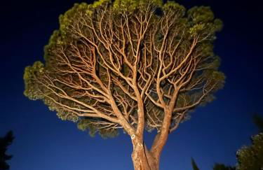 Villavos- Le Bocage - Photo 51