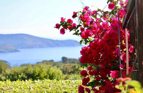 Villa Tany - Photo 24