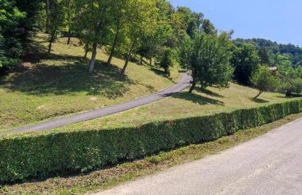 Kuća za odmor Trnac - Foto 21