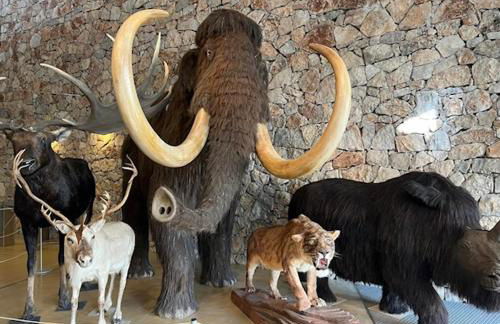 maison à la campagne - Foto 13