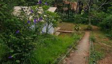 Sítio Lamounier - Foto 3