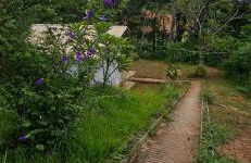 Sítio Lamounier - Foto 3