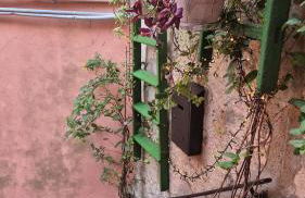 Rifugio dell'artista a Cerri - Foto 8