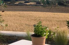 Marikos House, Pyrgaki Alyko Naxos - Foto 25