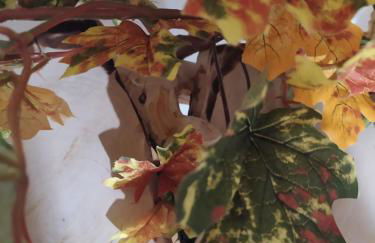 Casa das Pozas 2 - Foto 37