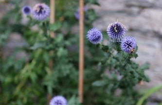 The Garden Room - Foto 17