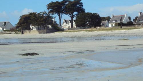 appartement fleurs - Foto 5