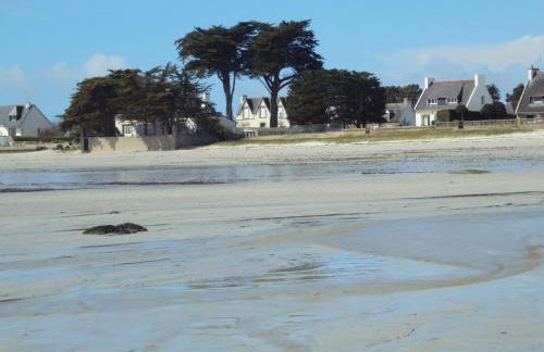 appartement fleurs - Foto 5