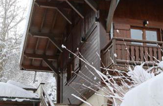 La Résidence de L'Ours - Foto 42